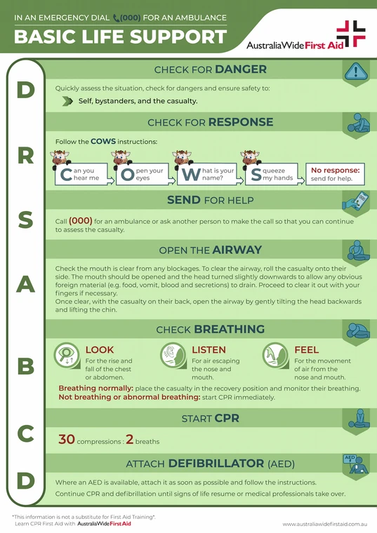 Basic Life Support for Adults Chart